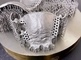 Automatische Industriële de Printerslm van het Rangtitanium 3D Kronen Tandsteunen