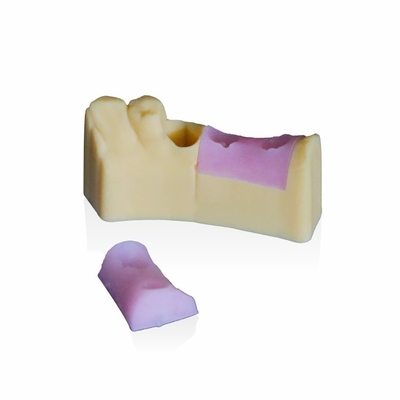 Gingiva Roze Hars voor Tand Model 3d Printer ASTM D2240