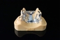 Ceramische van de Printerlight curing dental van het Tandentitanium 3D van het de Lasermetaal de Sinterprinter